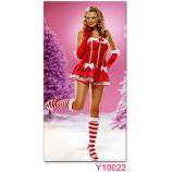 Christmas Costume